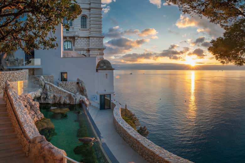 Piscina de reabilitação de tartarugas marinhas